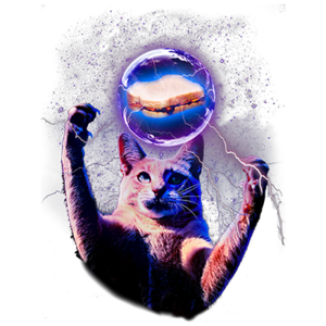 PBJ Cat