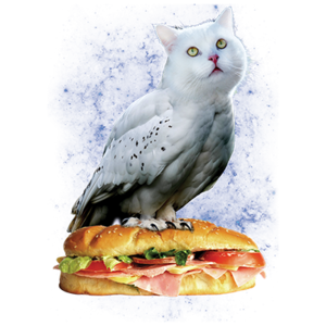 Cat Owl Sub