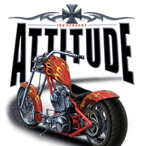 Attitude