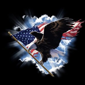 Bald Eagle with Flag