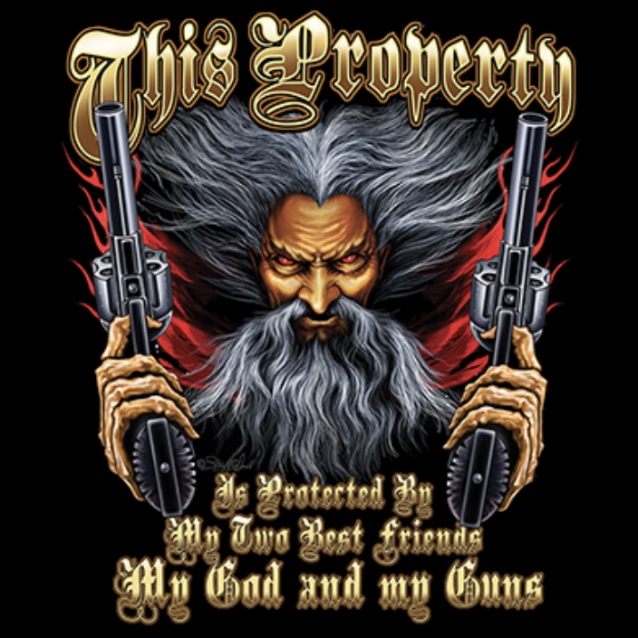 This Property is protected by God & Guns