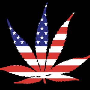 American Flag Marijuana Leaf