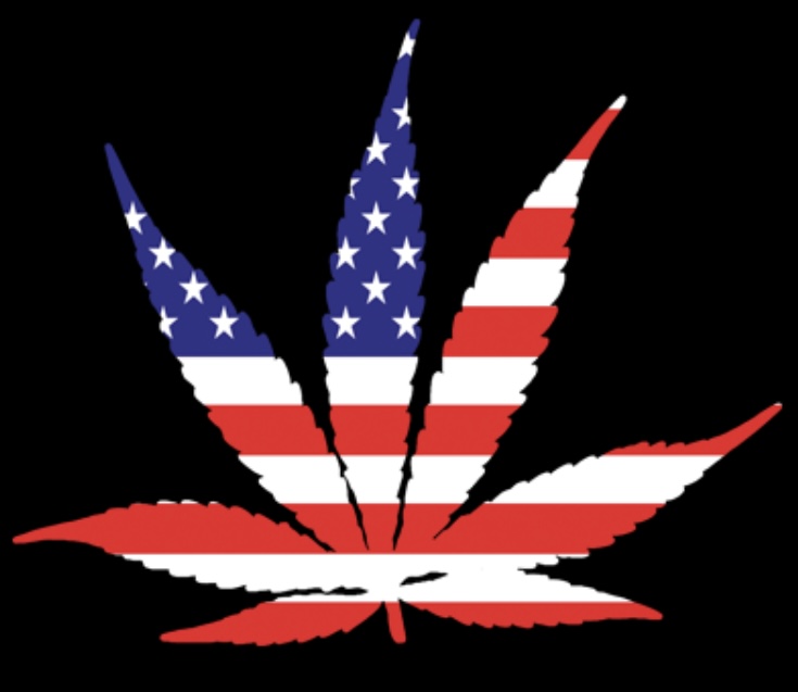 American Flag Marijuana Leaf