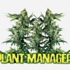 Plant Manager