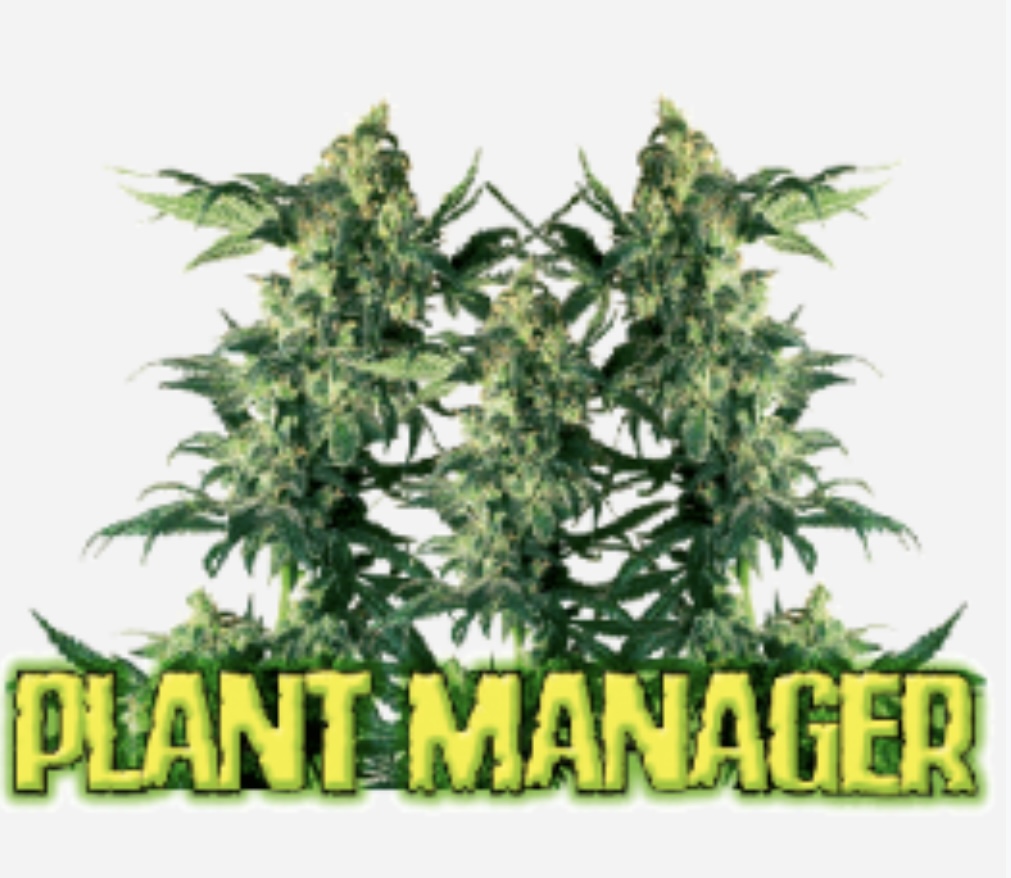 Plant Manager