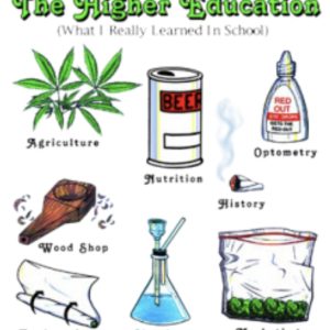 The Higher Education