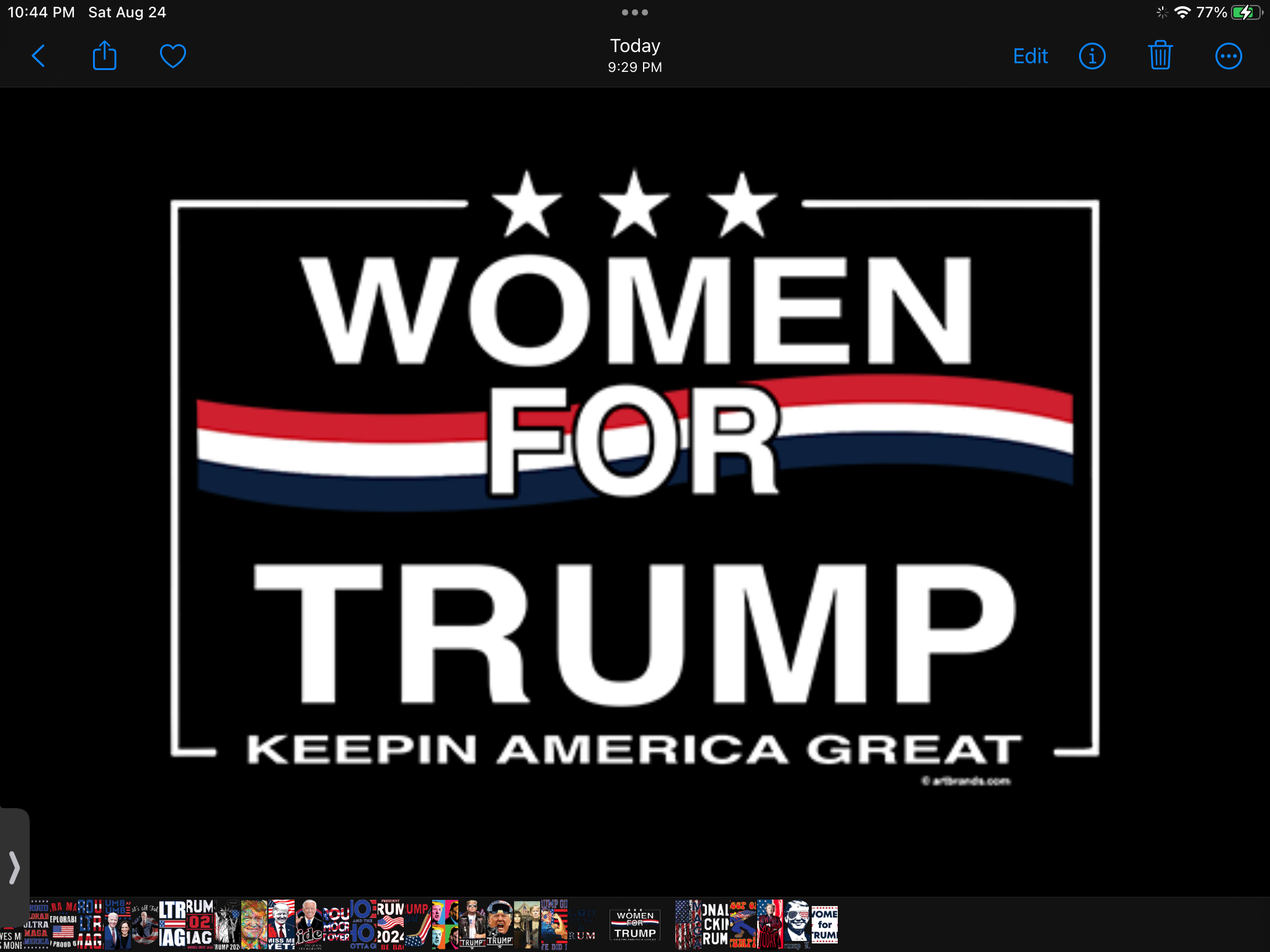 King Maga - Image 7