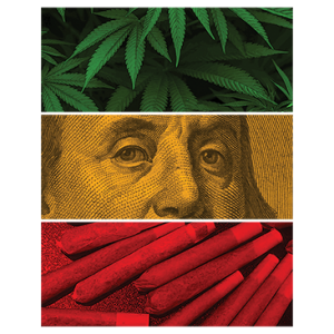 Ben Franklin Marijuana