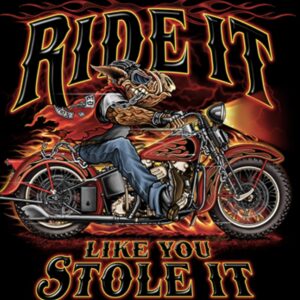 Ride It Like You Stole It